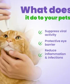 Medazy®Pet eye drops-Daily L-Lysine Drops for Feline Herpes Eye Care