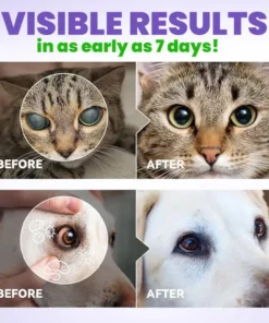 Medazy®Pet eye drops-Daily L-Lysine Drops for Feline Herpes Eye Care