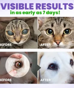 Medazy®Pet eye drops-Daily L-Lysine Drops for Feline Herpes Eye Care